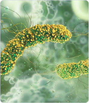 Antiinfecciosos