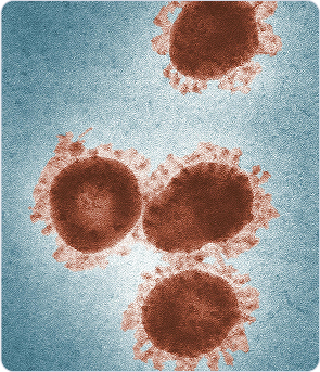Antivirales